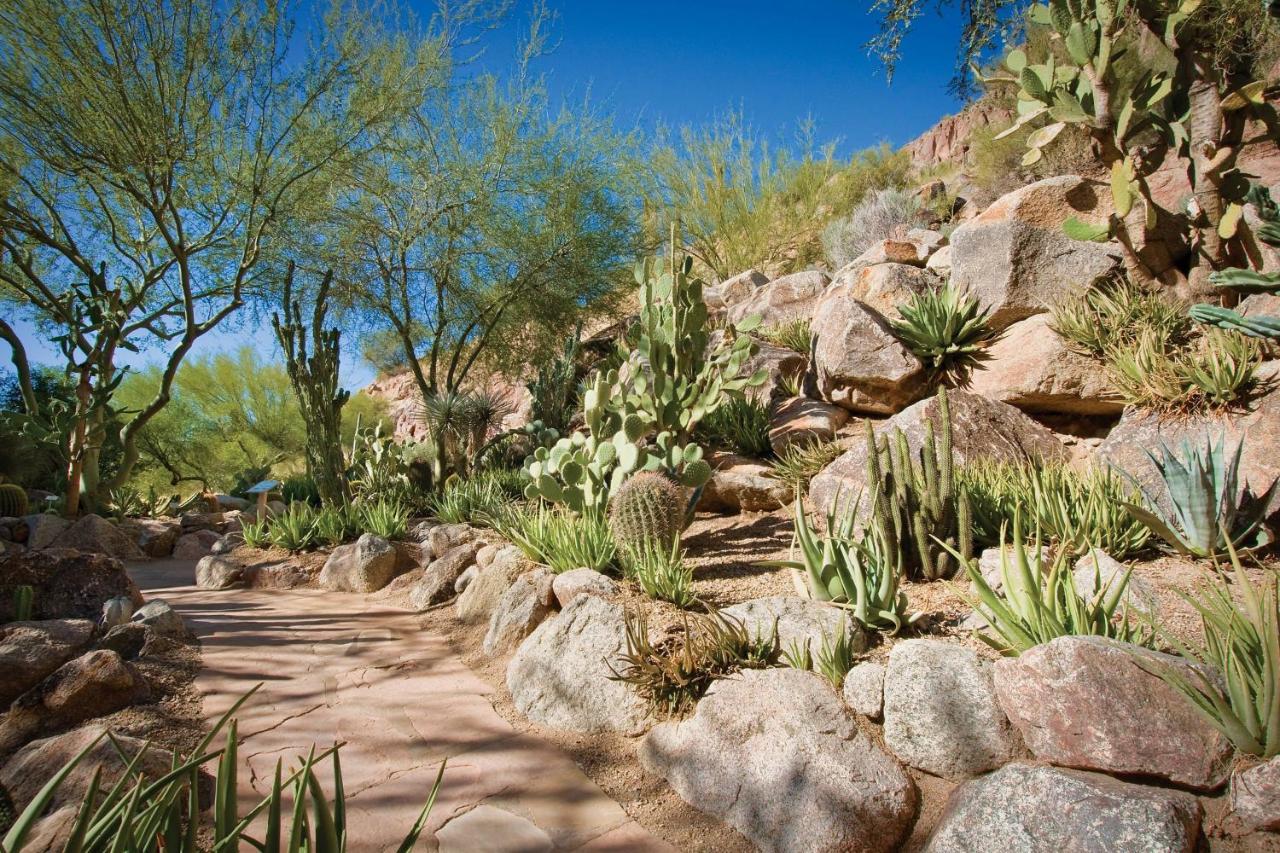 The Canyon Suites At The Phoenician, A Luxury Collection Resort, Scottsdale Paradise Valley Ngoại thất bức ảnh