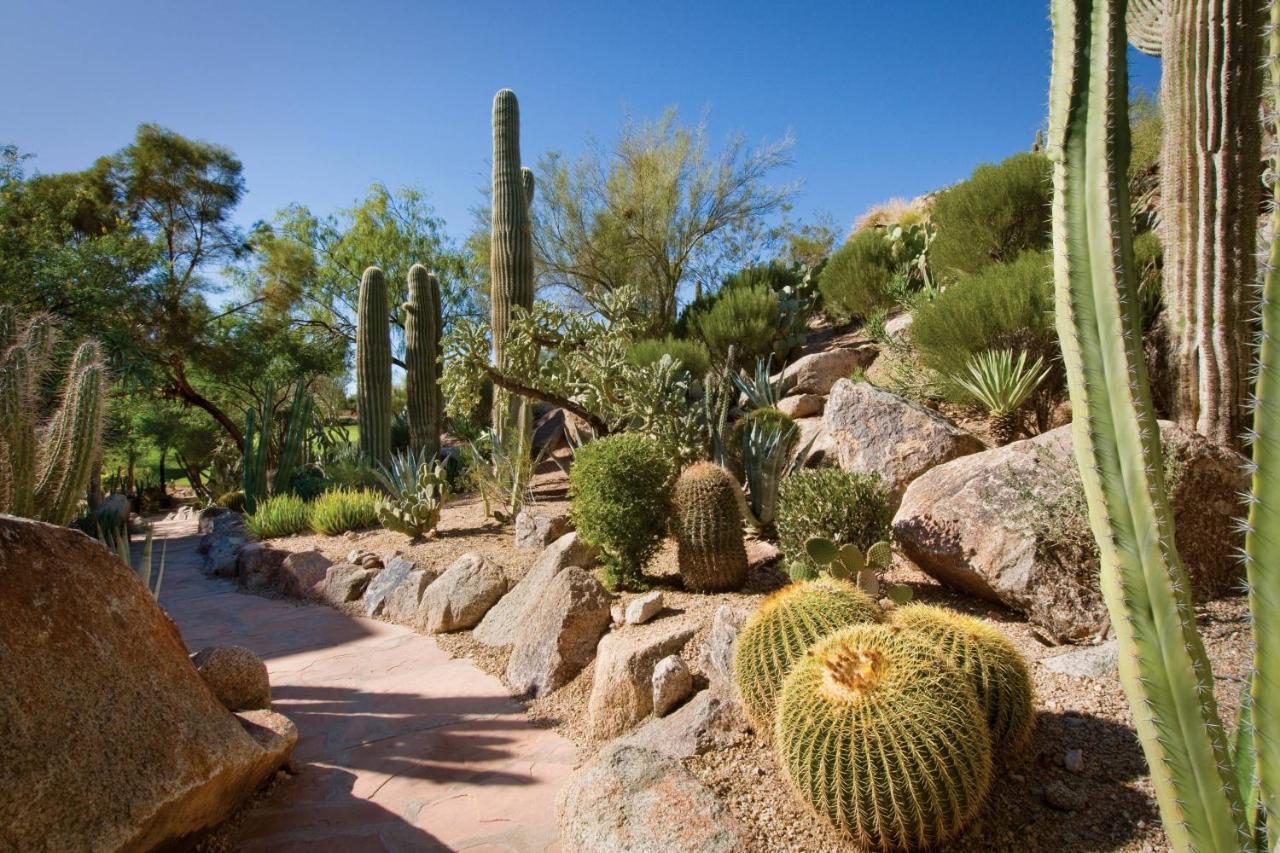 The Canyon Suites At The Phoenician, A Luxury Collection Resort, Scottsdale Paradise Valley Ngoại thất bức ảnh