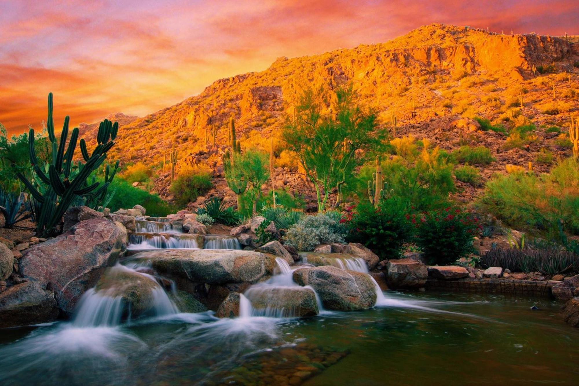 The Canyon Suites At The Phoenician, A Luxury Collection Resort, Scottsdale Paradise Valley Ngoại thất bức ảnh